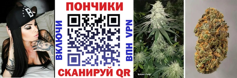 Меф Игарка
